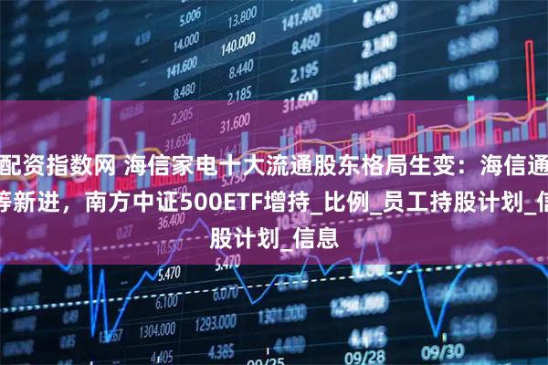 配资指数网 海信家电十大流通股东格局生变：海信通信等新进，南方中证500ETF增持_比例_员工持股计划_信息